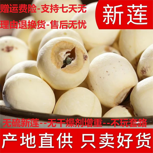 【湘潭带芯白莲子】新鲜干货天然粉糯无硫有芯磨皮莲子特价促销品
