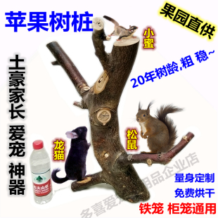 松鼠龙猫苹果木树桩叉杈苹果枝跳台踏板宠物小蜜袋鼯磨牙用品玩具