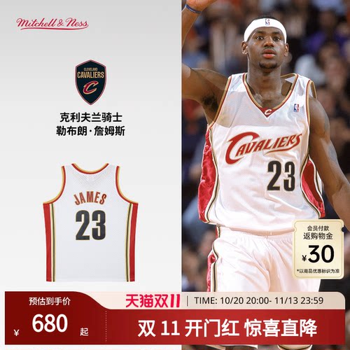 MN骑士队詹姆斯23号球衣球迷版