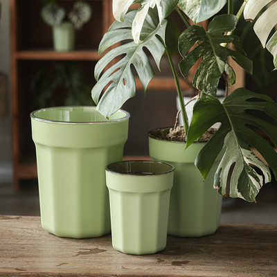 懒人自吸水花盆对新手友好