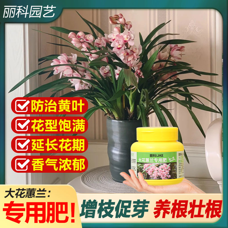 大花蕙兰专用肥颗粒肥有机花肥