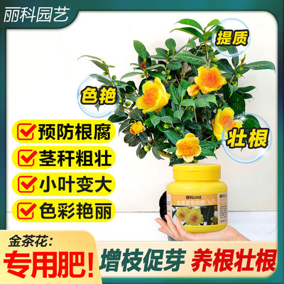 金茶花专用肥复合肥控释肥料