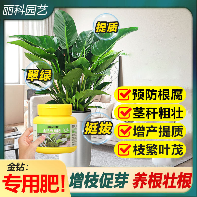 金钻专用肥颗粒肥家用植物缓释肥