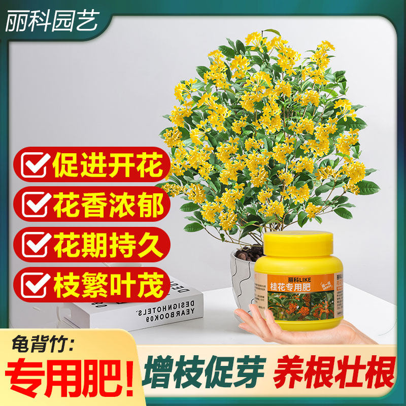 桂花肥料花肥家用盆栽通用桂花花肥桂花树肥料专用肥桂花专用肥,鲜花速递/花卉仿真/绿植园艺,家庭园艺肥料,淘宝优惠券,粉丝福利购,淘宝优惠卷