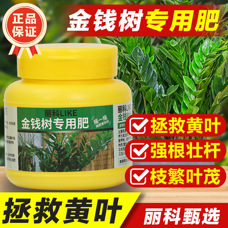 金钱树专用肥长效缓释肥绿植花肥