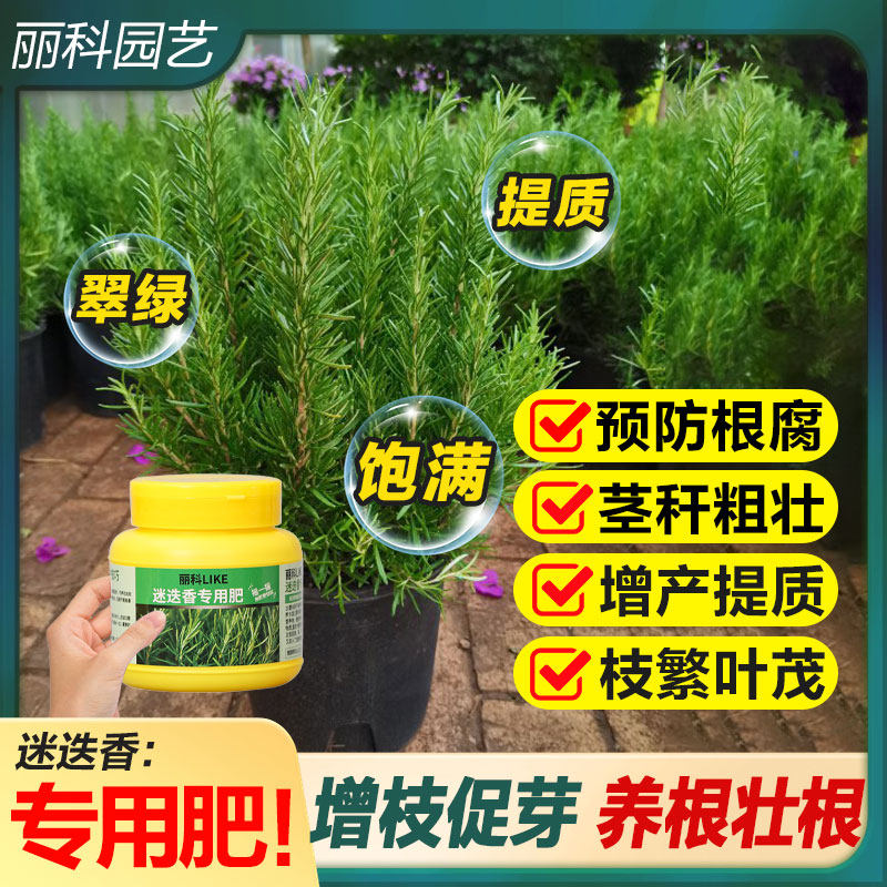 迷迭香专用肥颗粒缓释肥花肥料