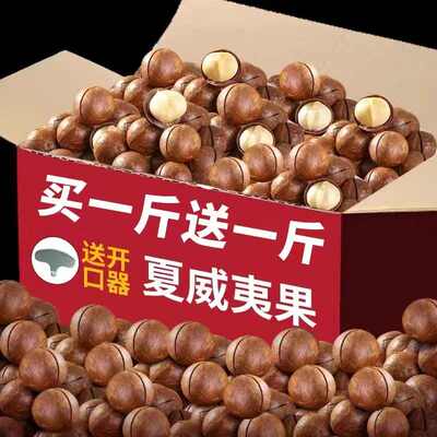 新货奶油味夏威夷果整箱奶香味夏果果仁年货批发500g袋装坚果零食