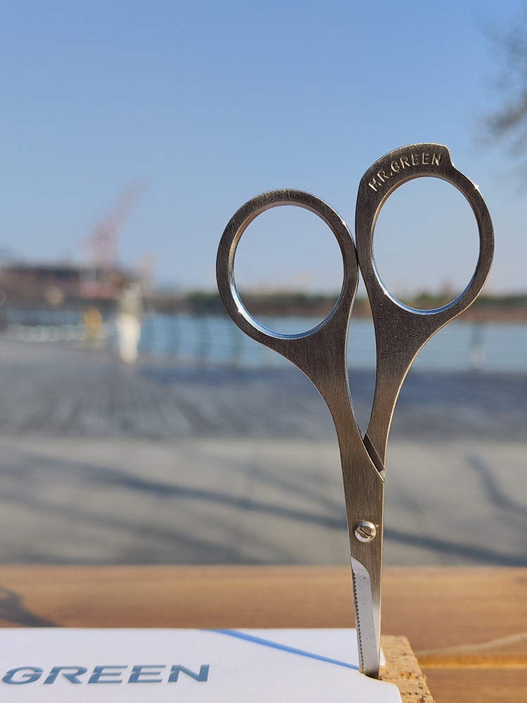 독일 미스터그린[MR.GREEN] 남성 청소 및 관리를 위한 톱니 모양의 코털과 수염 트리머를 갖춘 스테인리스 스틸 라운드 헤드 수입