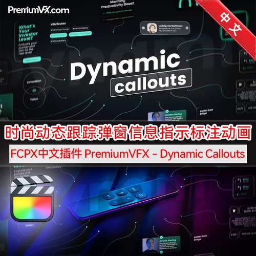 FCPX汉化插件DynamicCallouts