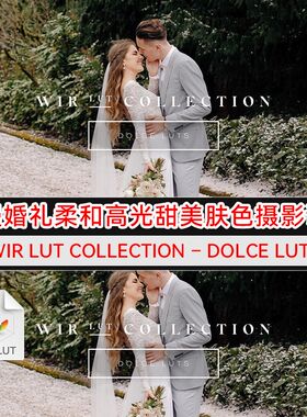 浪漫婚礼柔和高光甜美肤色调色 WIR Lut Collection Dolce Luts