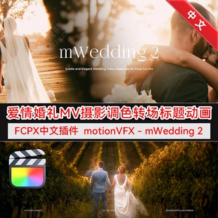 FCPX中文插件 婚礼MV纪录片视频调色转场标题排版动画 mWedding 2