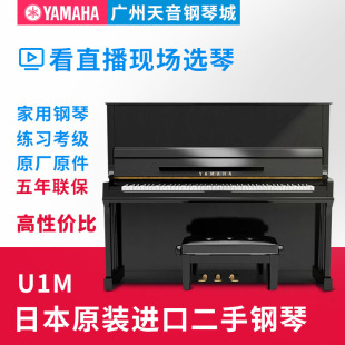 U2M 二手钢琴日本原装 U1M 钢琴 进口YAMAHA雅马哈 U3M高端演奏立式