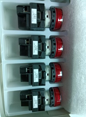 全新原装正品和泉指示灯YW1P-1BEQ4R