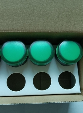 全新原装正泰绿色指示灯ND16-22D/2 AC/DC24V