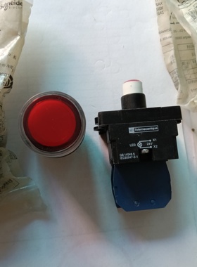 全新原装施耐德红色带灯按钮XB2EW34B1C
