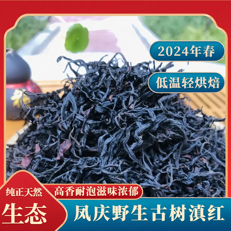 古树红茶散茶滇红茶浓香花香凤庆深山乔木祖红古树工夫红茶轻烘焙