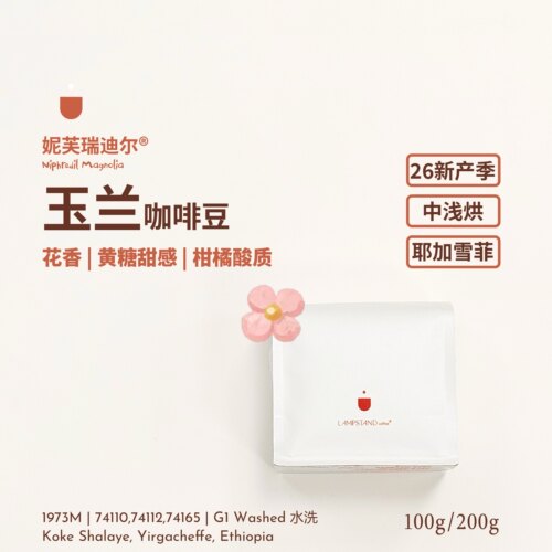 美盏玉兰咖啡豆26产季·耶加雪菲