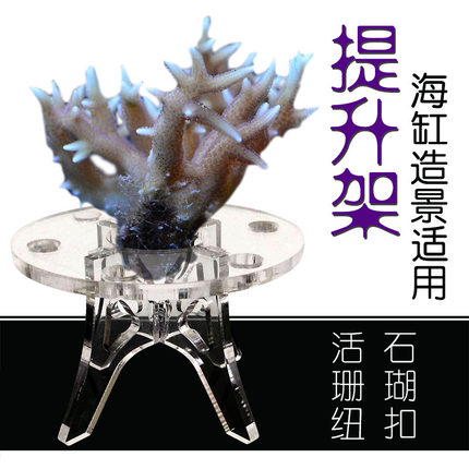 海缸造景活石珊瑚sps纽扣硬骨lps提升架抬升架亚克力陶瓷基座抬高