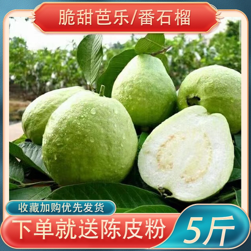 【白心芭乐】高州白肉番石榴爽脆清甜低热量广东广西特产送陈皮粉