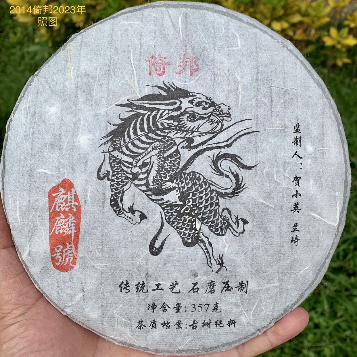 2014云南倚邦茶区普洱生茶357g古树茶头春纯料私房茶花蜜果香口味