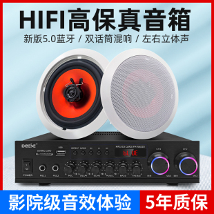 德国柏林正品 壁挂音箱 吸顶音响无线蓝牙功放同轴低音喇叭套装
