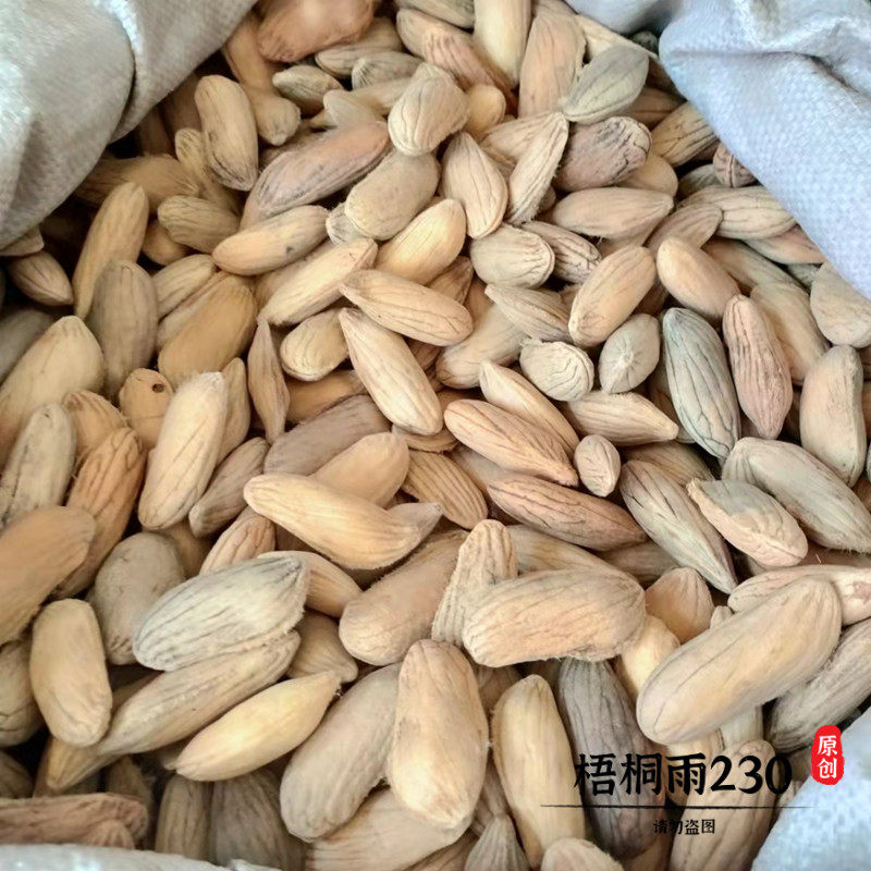 芒果核无硫芒果籽干芒果子克中药材 500克包邮