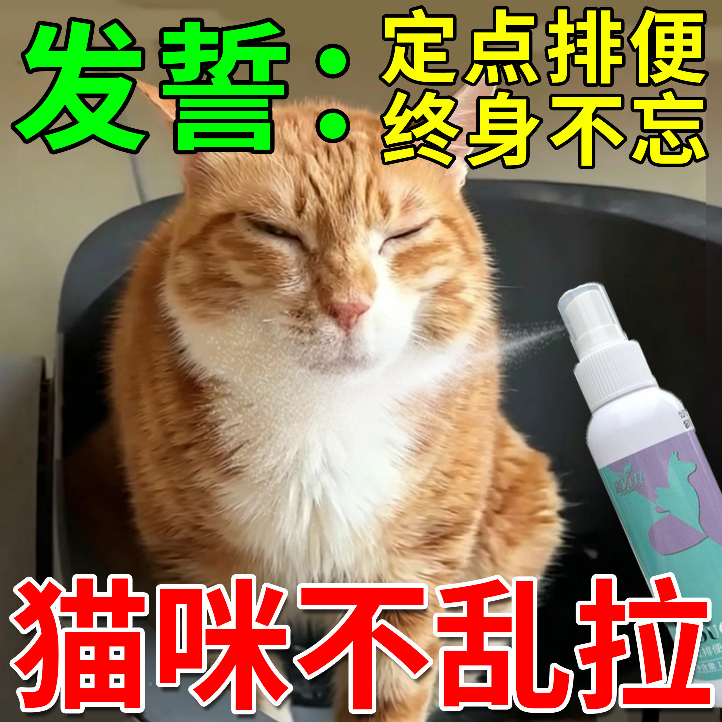 猫咪上厕所诱导剂猫大小便定点排便防猫乱拉尿引导剂宠物防乱拉屎