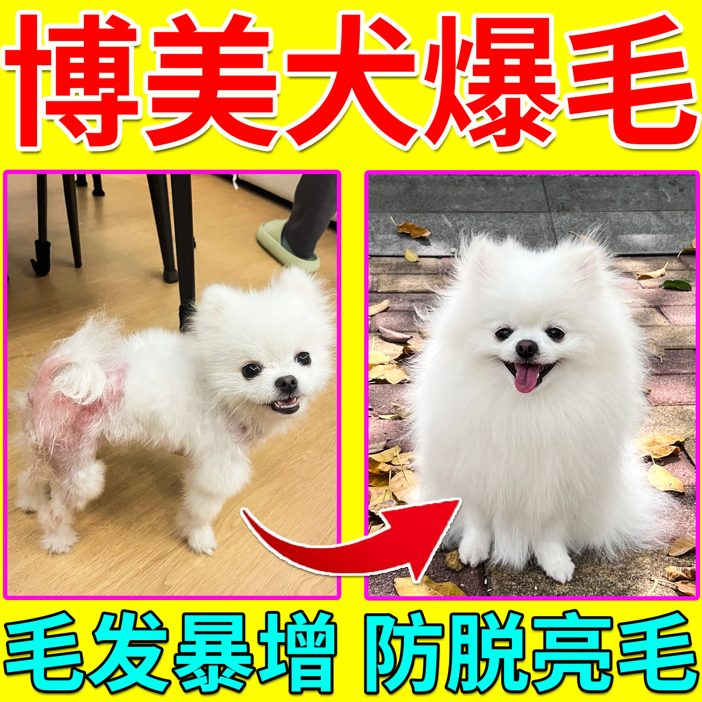 卵磷脂狗狗专用鱼油美毛爆毛护毛