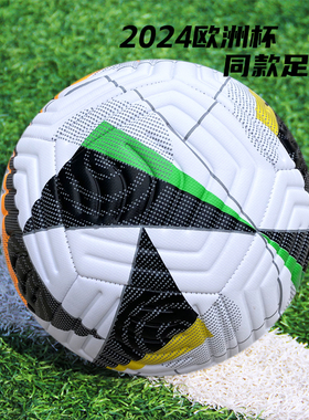 2024欧洲杯中高端机缝热帖足球5号4号球成人青少年通用加厚高弹球