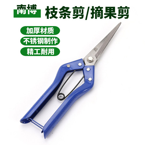 不锈钢摘水果专用剪刀桔橘葡萄