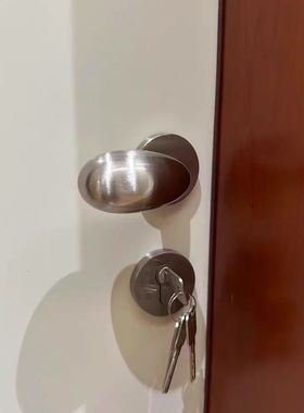 依佰利法式简约银色不锈钢拉丝房门锁室内鹅蛋球形门把手静音门锁