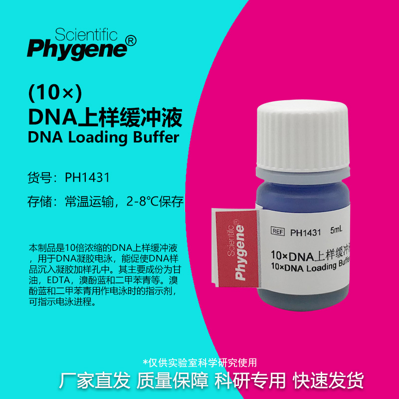 10×DNA上样缓冲液科研专用