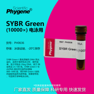 SYBR Green I (10000×) 核酸电泳 核酸染料 50uL PH0636 PHYGENE