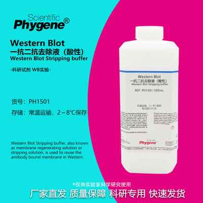 实验试剂WB一抗二抗洗脱液(酸性)
