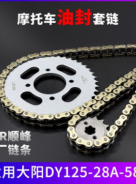 适用大阳DY125-25A-58A牙盘链条链盘大小链轮摩托车套油封套链