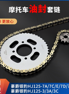 适用豪爵银豹HJ125-7B/D/M/F HJ150-3A/3C牙盘链条摩托车油封套链