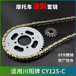 适用川阳牌 CY125-C牙盘链条轮大小齿摩托车静音加厚油封三件套链