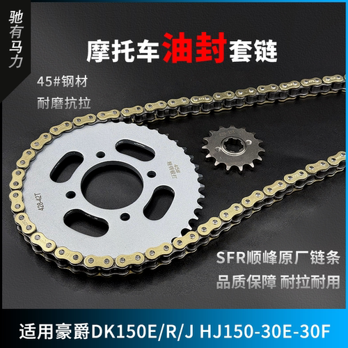 适用豪爵DK150E/R/J HJ150-30E-30F牙盘链条大小齿摩托油封三件套