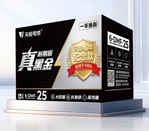 天能天能真黑金石墨烯电池60V72v