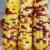 About 10 Colored Corn Kernels