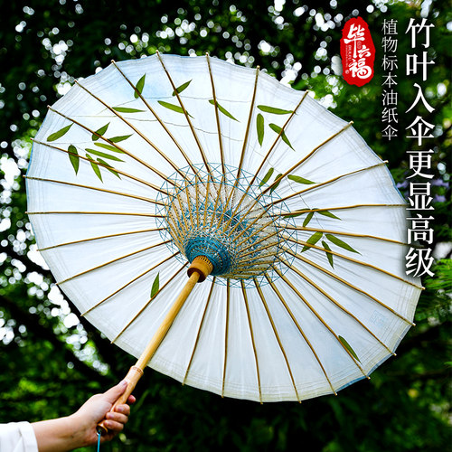 毕六福油纸伞植物标本防雨古风伞