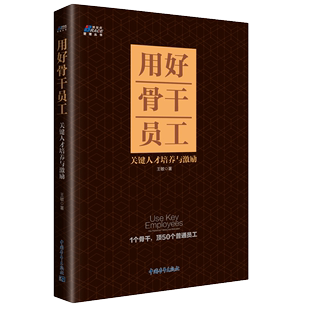 王敏 用好骨干员工关键人才培养与激励 9787515354842 中国青年出版 社