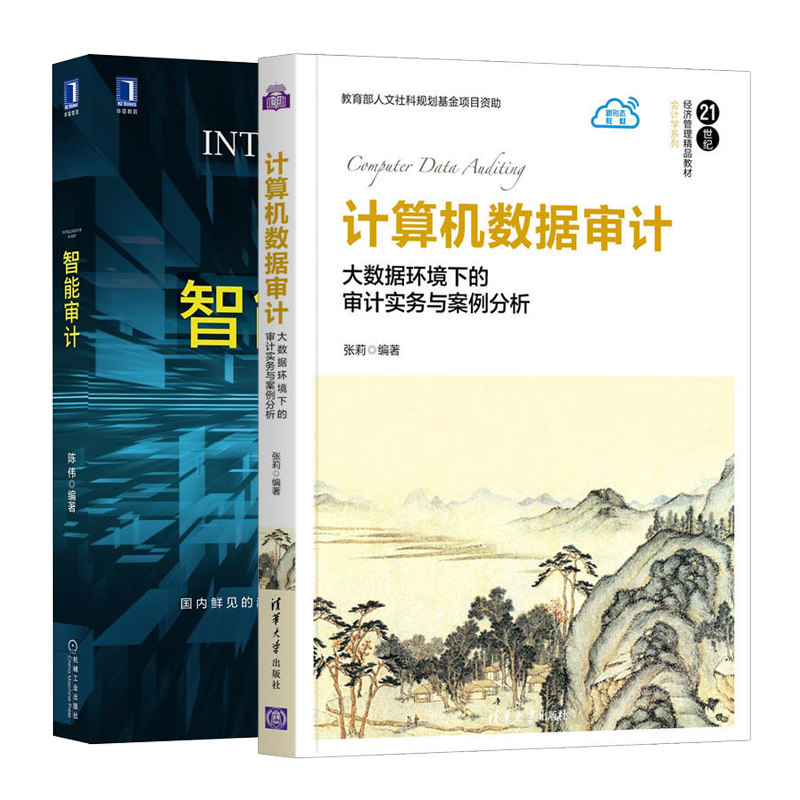 计算机数据审计 大数据环境下的审计实务与案例分析+智能审计 2册 智能审计通俗著作 智能审计入门书籍审计 监察人员参考书