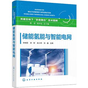 多能融合 化学工业出版 技术图解 蔡睿 社9787122459183 储能氢能与智能电网 双碳目标下