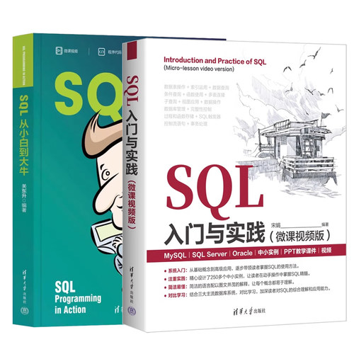 【全2册】SQL入门与实践 微课视频版 宋娟+SQL从小白到大牛 关东升 SQL与数据库设计立体教程