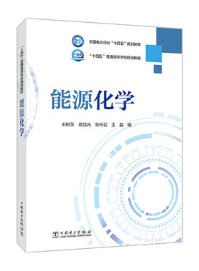 能源化学 王树荣 蒋旭光 朱玲君 王磊 中国电力出版社9787519874346