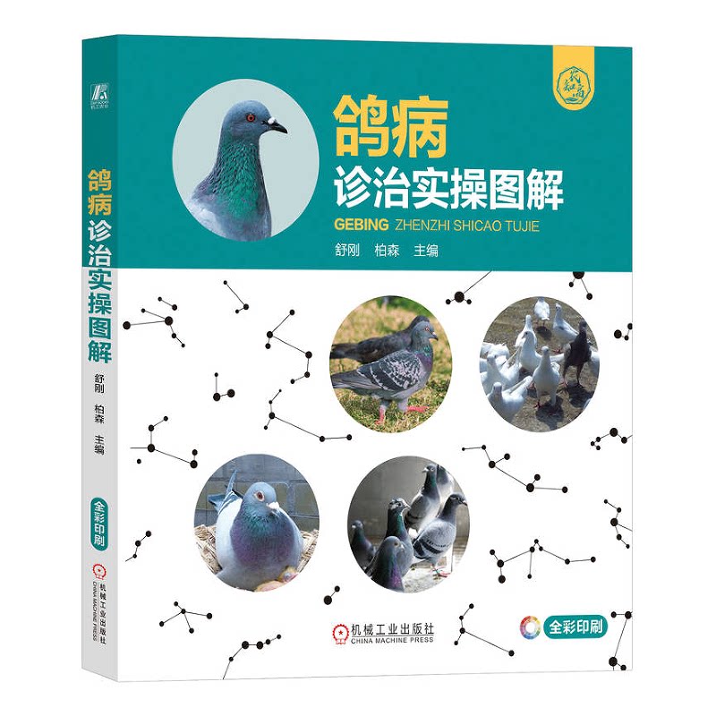 鸽病诊治实图解 舒刚 柏森 机械工业出版社9787111745969图片