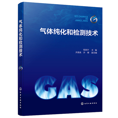 气体纯化和检测技术 荀其宁 齐贵亮 许峰 化学工业出版社