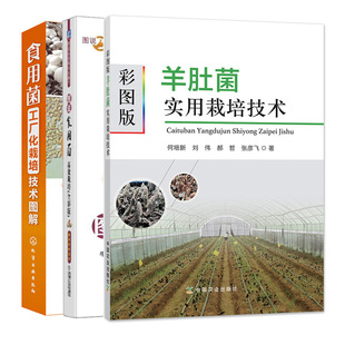 彩图版羊肚菌实用栽培技术+图说食用菌栽培 全彩版+食用菌工厂化栽培技术图解 食用菌实用栽培技术书菌类蔬菜种植技术书 籍