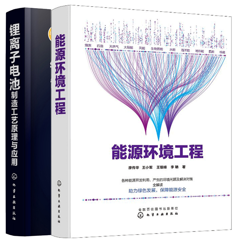 锂离子电池制造工艺原理与应用 能源环境工程 2册 离子电池电化学性能设计原理制造工序工艺制造设备工艺调控方法缺陷图书